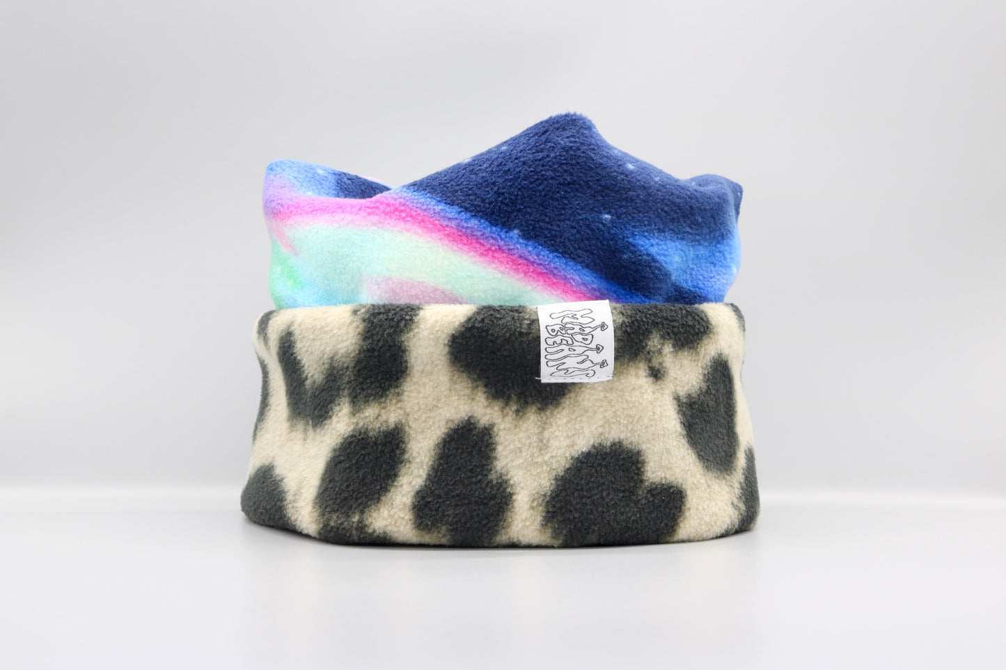 Aurora Borealis and Leopard