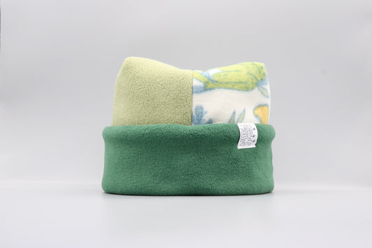 Sage, Frogs, and Evergreen