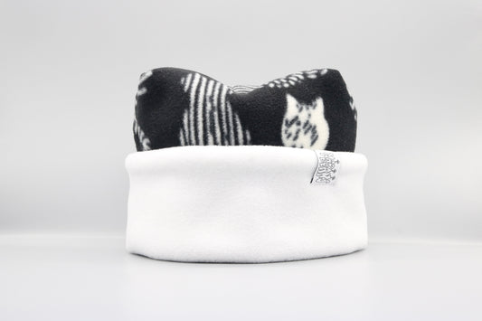 Cats and White