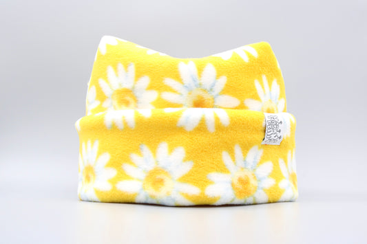 Yellow Daisies