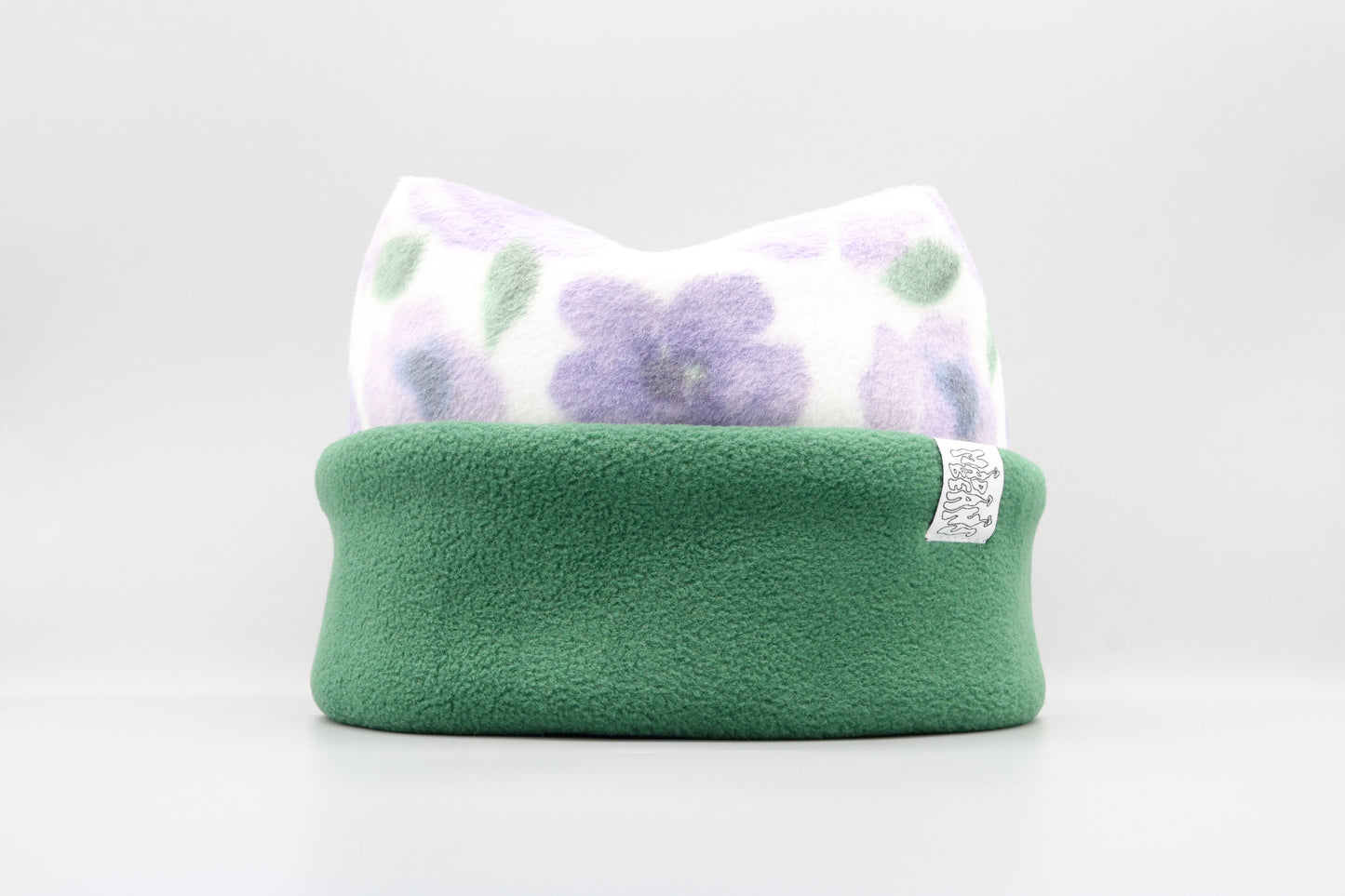 Purple Flowers and Evergreen