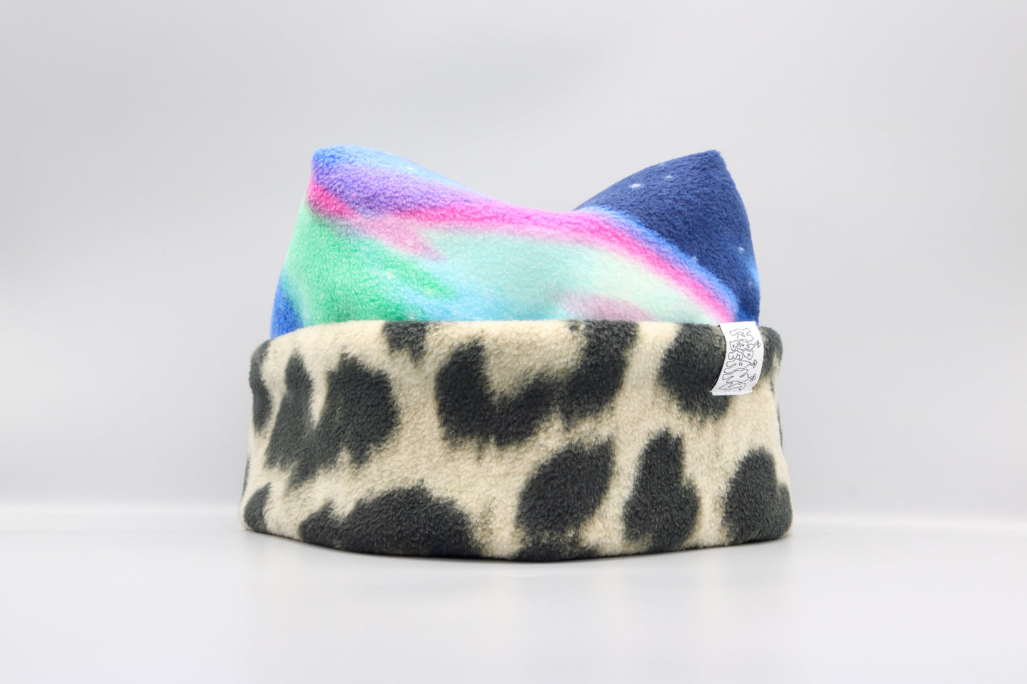 Aurora Borealis and Leopard