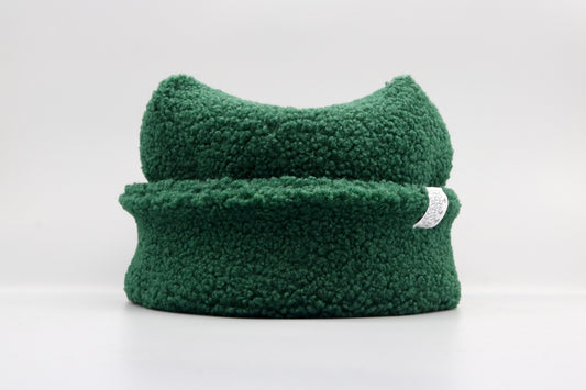 Evergreen Teddy